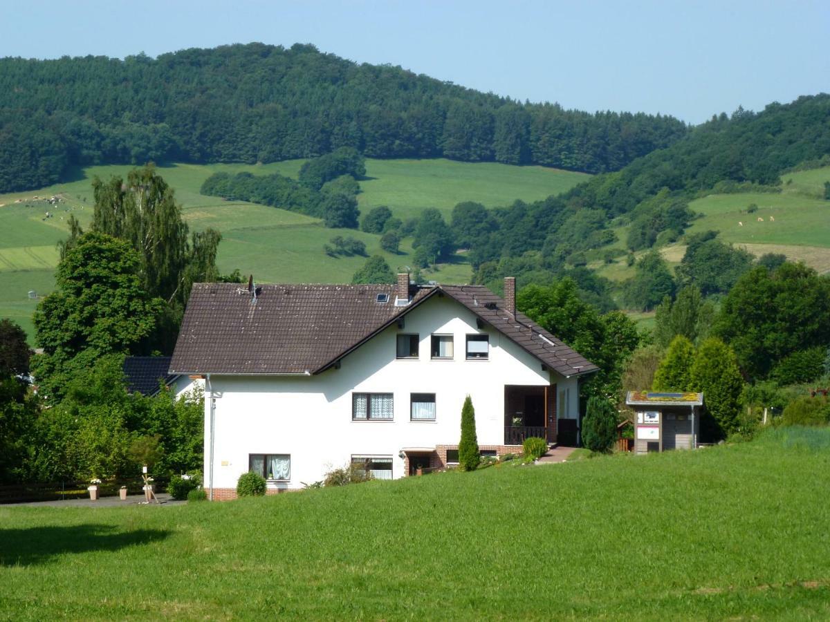 Ferienwohnungen Finke Frankenau Esterno foto