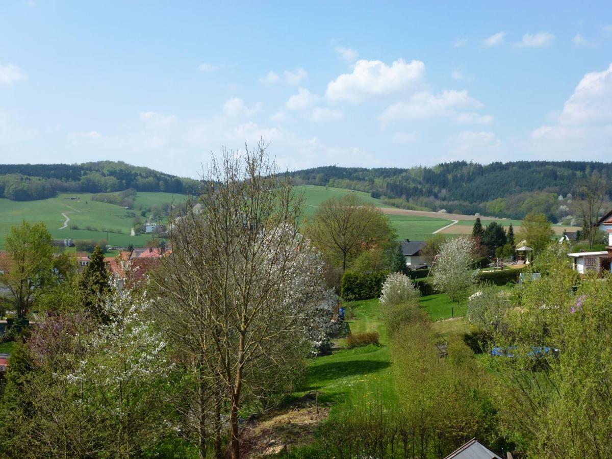 Ferienwohnungen Finke Frankenau Esterno foto