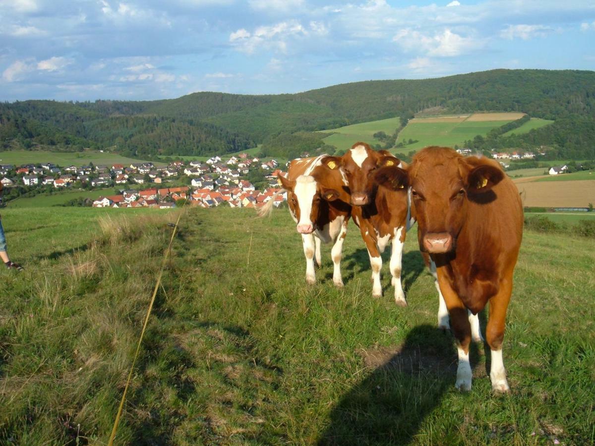 Ferienwohnungen Finke Frankenau Esterno foto