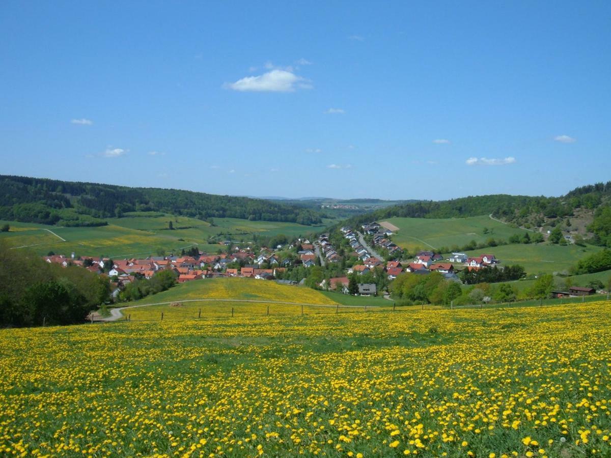 Ferienwohnungen Finke Frankenau Esterno foto