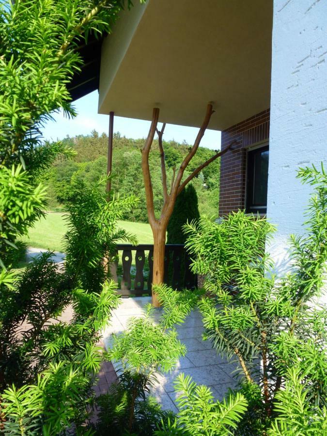 Ferienwohnungen Finke Frankenau Esterno foto