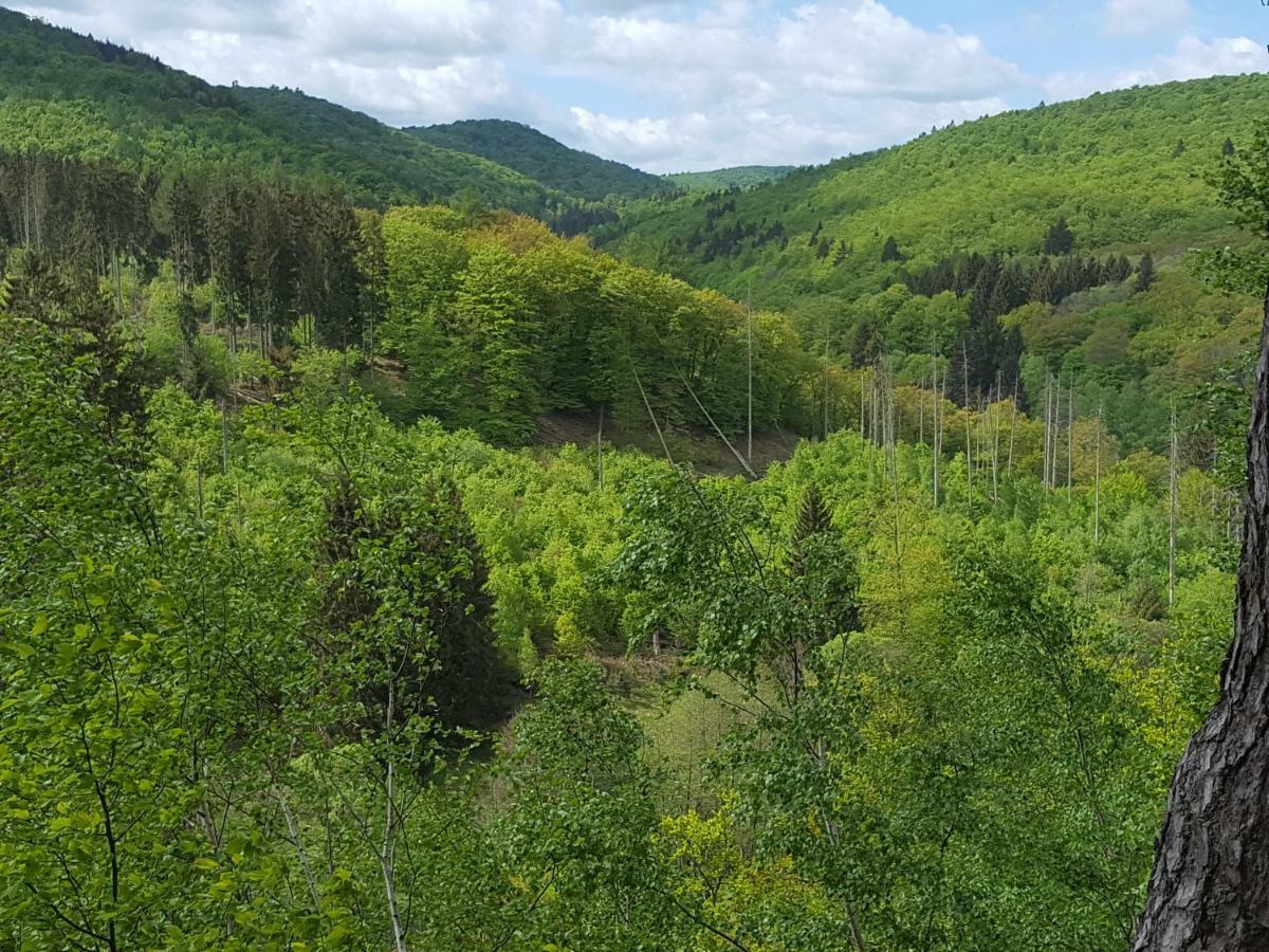 Ferienwohnungen Finke Frankenau Esterno foto