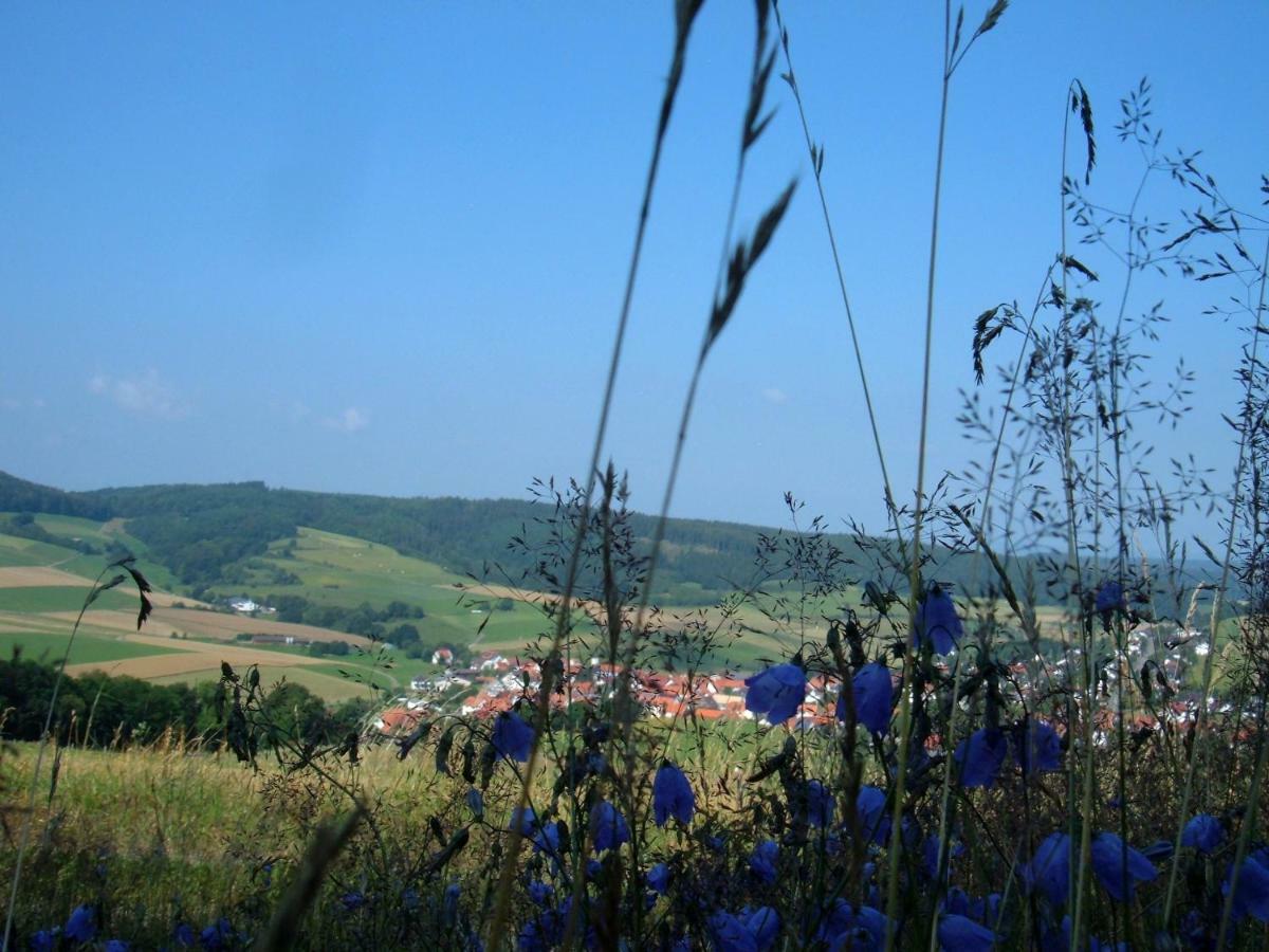 Ferienwohnungen Finke Frankenau Esterno foto